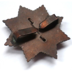 Lincolnshire Regiment Officers Bronze Cap Badge - British Military Insignia