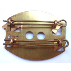 Red Cross Flintshire Shoulder Title - British Military Insignia