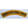 WW2 Royal Army Pay Corps Embroidered Shoulder Title - British Military Insignia