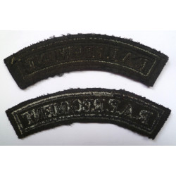 Pair Royal Air Force Regiment Shoulder Title - RAF - British Military Insignia