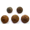 WW2 Imperial Japanese Navy Buttons