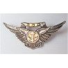 WW2 United States Navy Aircrew Sterling Badge