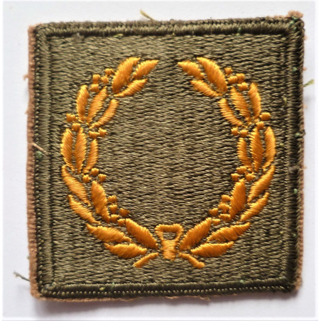 WWII United States Army Meritorious Merit Award Unit patch