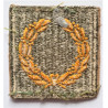 WWII United States Army Meritorious Merit Award Unit patch