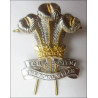 The Royal Welsh Sleeve/arm Badge