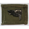 US Vietnam Pathfinder Cloth Sleeve Badge