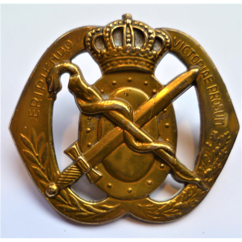 Royal Netherlands Army Medical Corps Hat Badge