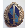 US Army 193rd Infantry Brigade Distinctive Unit Crest DUI Insignia
