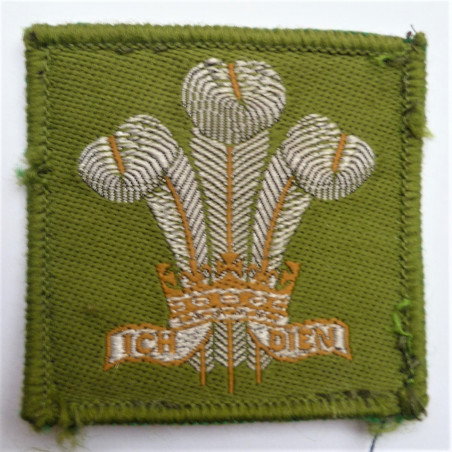 Royal Regiment of Wales Beret Badge British Army