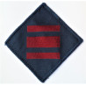 23rd Engineer Regiment TRF 16th Air Assault Cloth Patch
