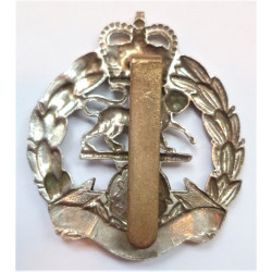 Royal Hampshire Cap Badge Queens Crown