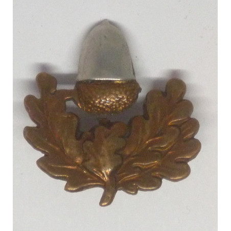 Cheshire Regiment Collar Badge British Army